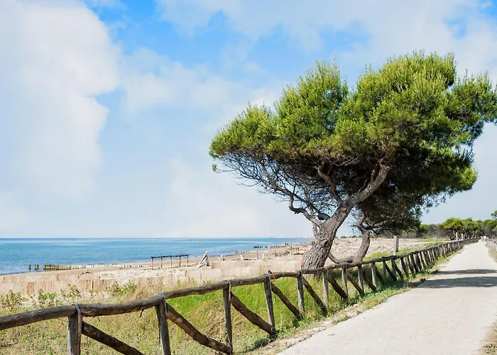 Flat In A House With Shared Pool